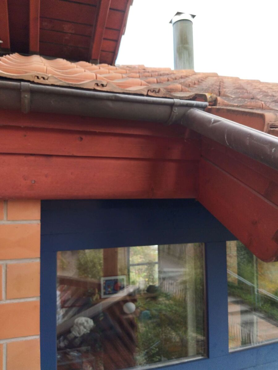  Bienennest entfernen.jpeg