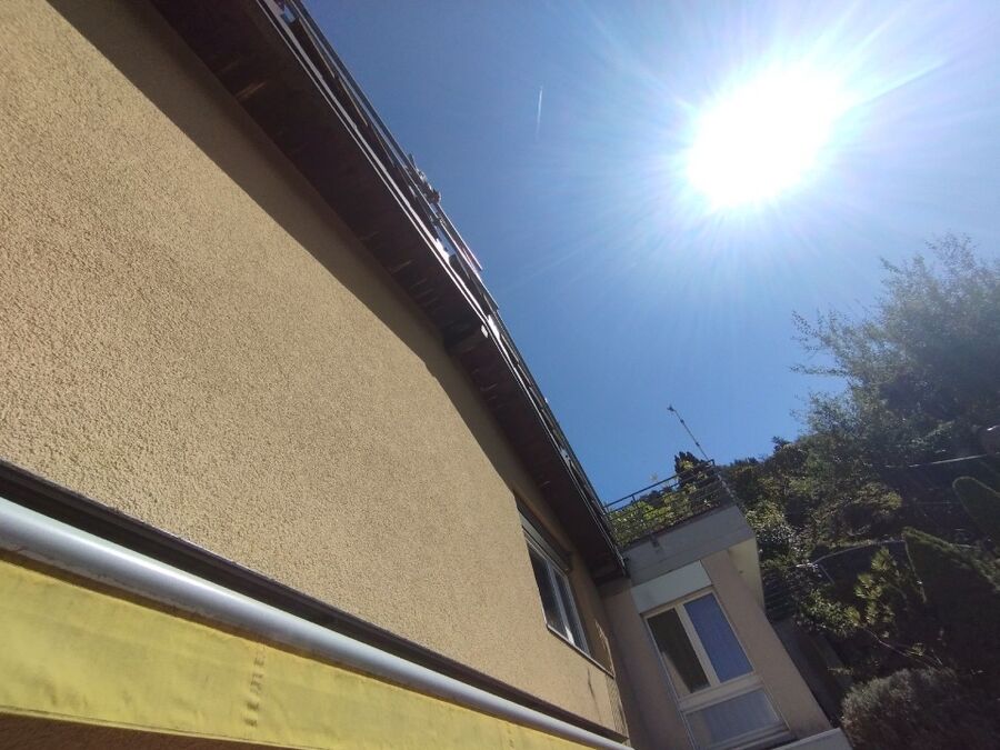  Bienennest entfernen.jpeg