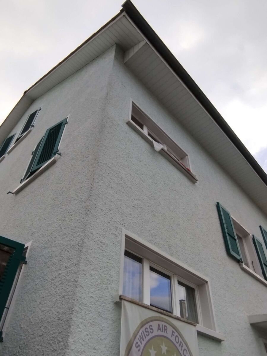  Bienennest entfernen