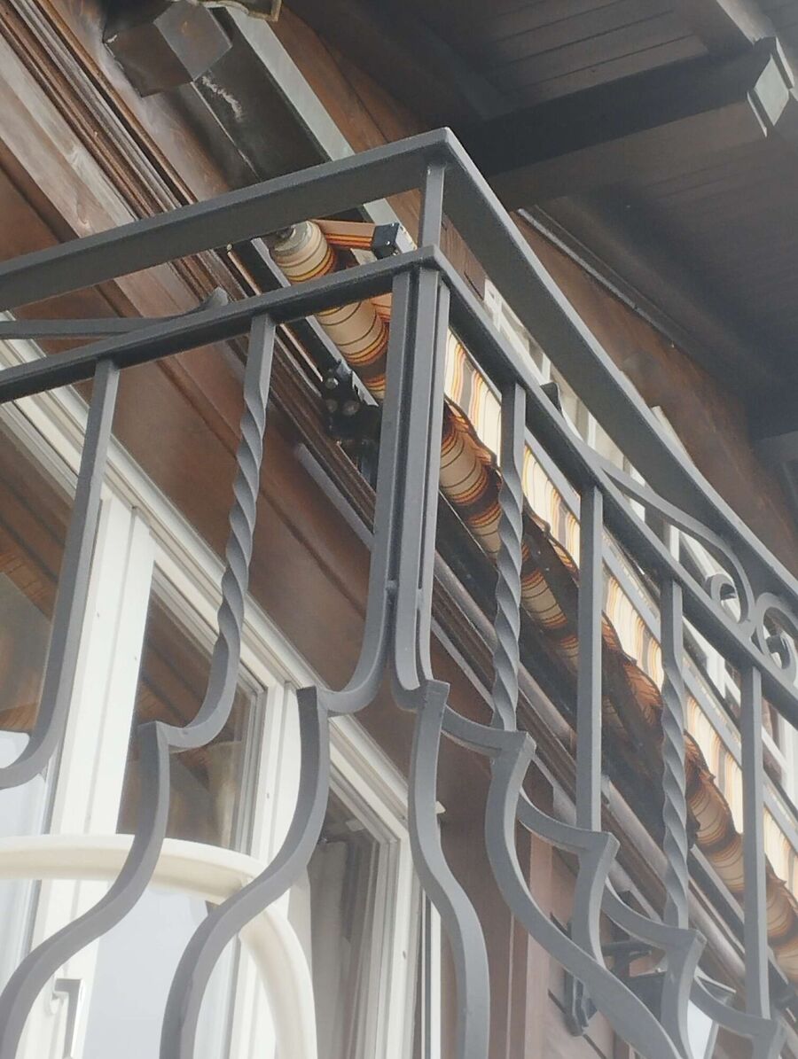  Bienennest entfernen.jpeg