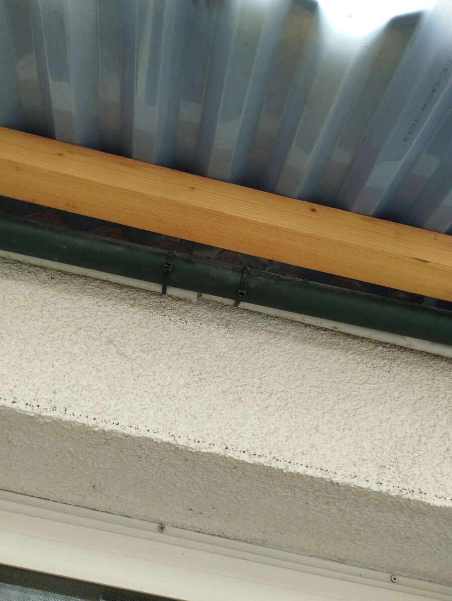  Bienennest entfernen