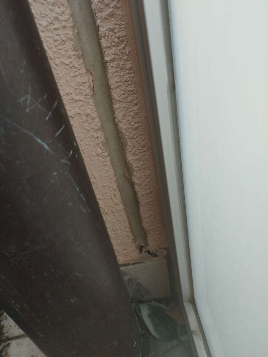  Bienennest entfernen.jpeg