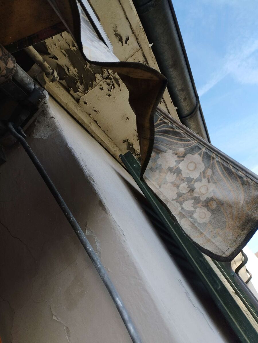  Bienennest entfernen.jpeg