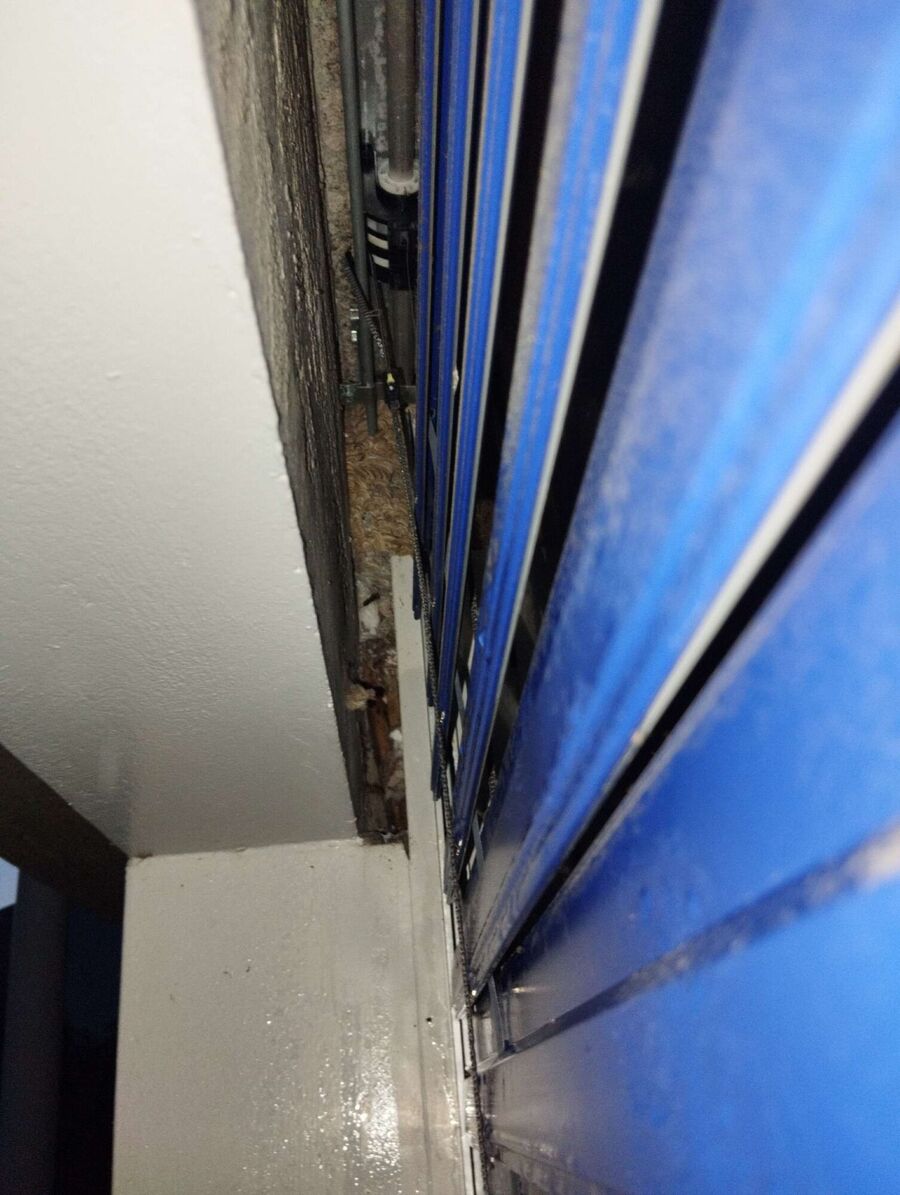  Bienennest entfernen.jpeg