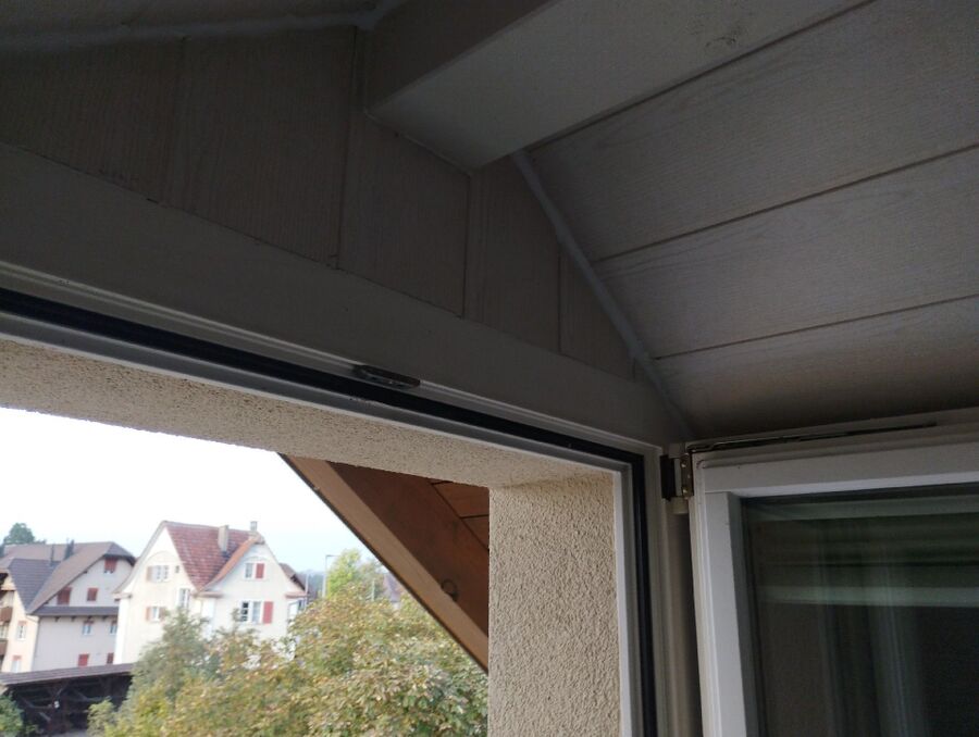  Bienennest entfernen.jpeg