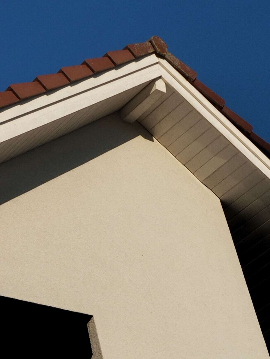  Bienennest entfernen