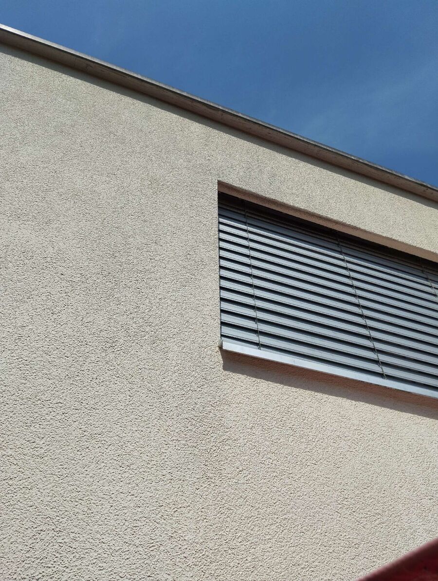  Bienennest entfernen.jpeg