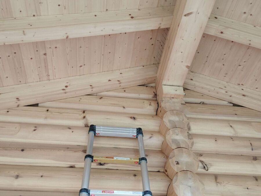  Bienennest entfernen