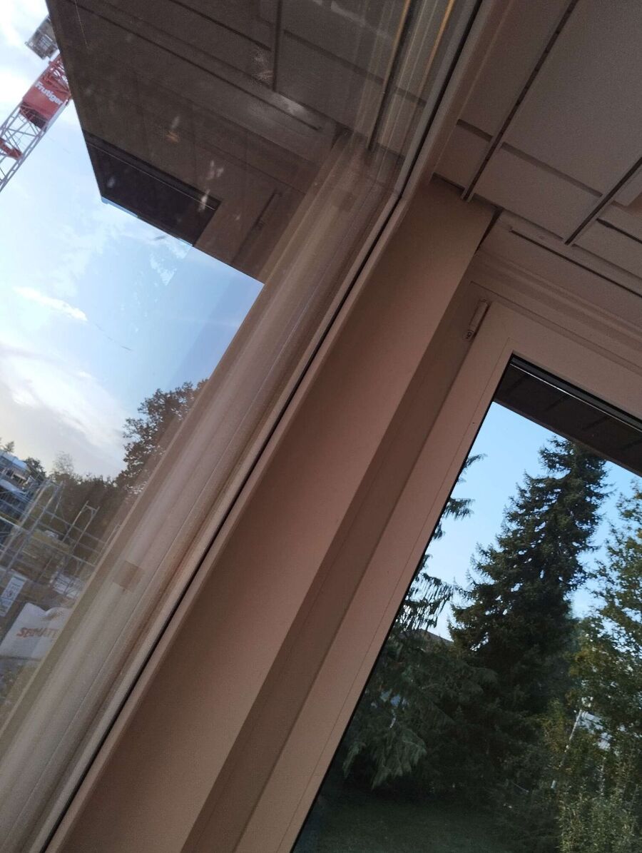  Bienennest entfernen