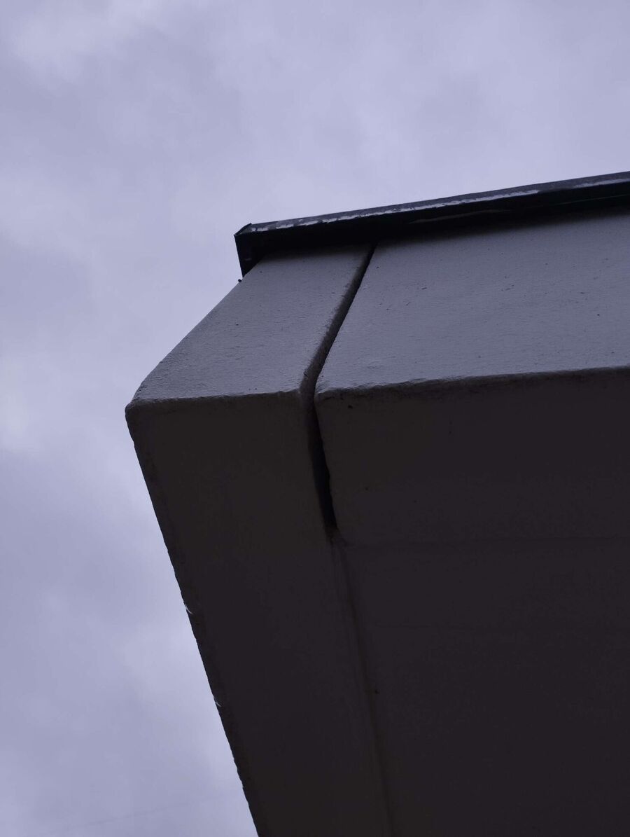 Bienen umsiedeln &  Bienennest entfernen 