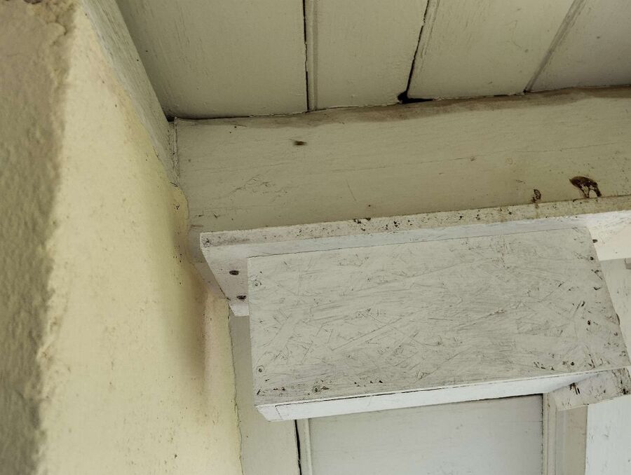  Bienennest entfernen.jpeg