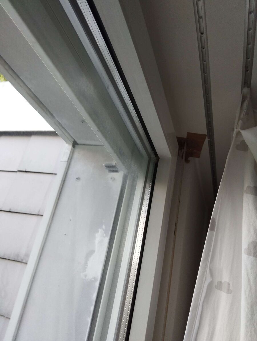  Bienennest entfernen