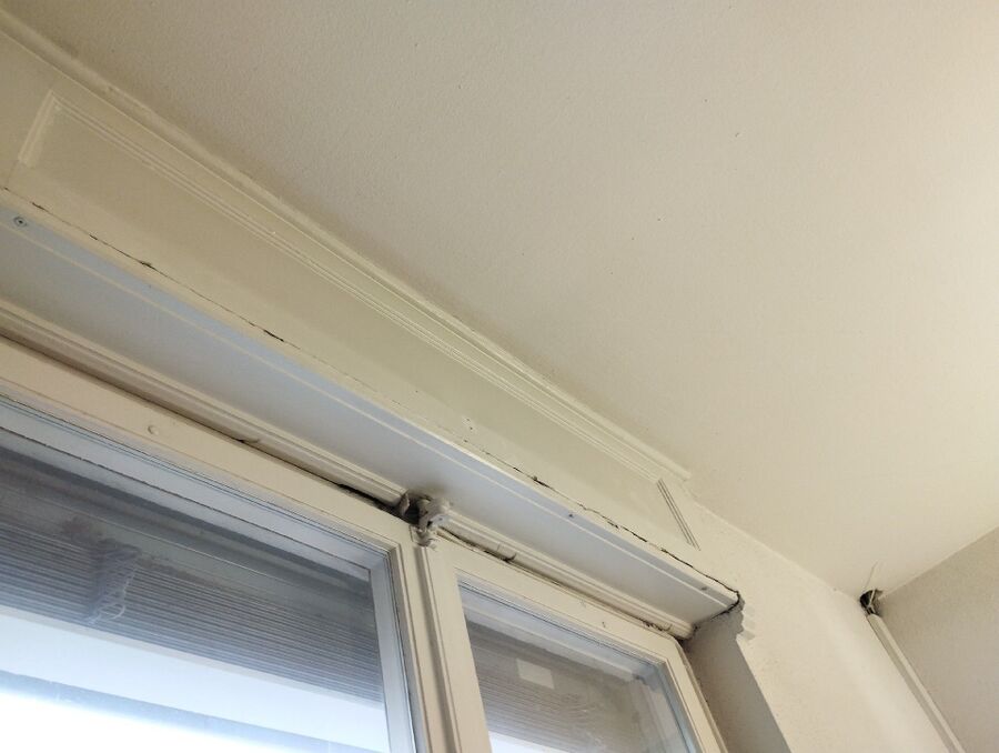  Bienennest entfernen.jpeg