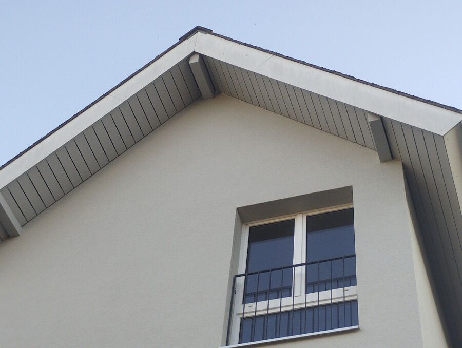  Bienennest entfernen