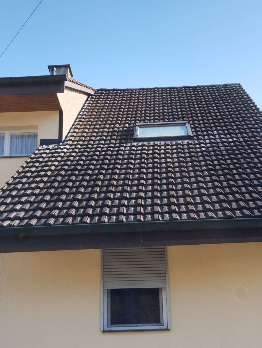  Bienennest entfernen