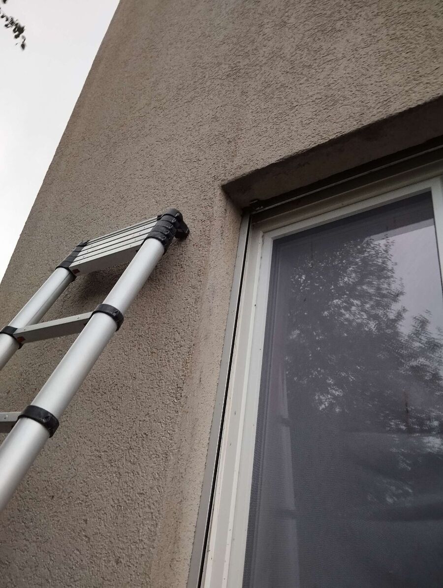 Bienen umsiedeln &  Bienennest entfernen 