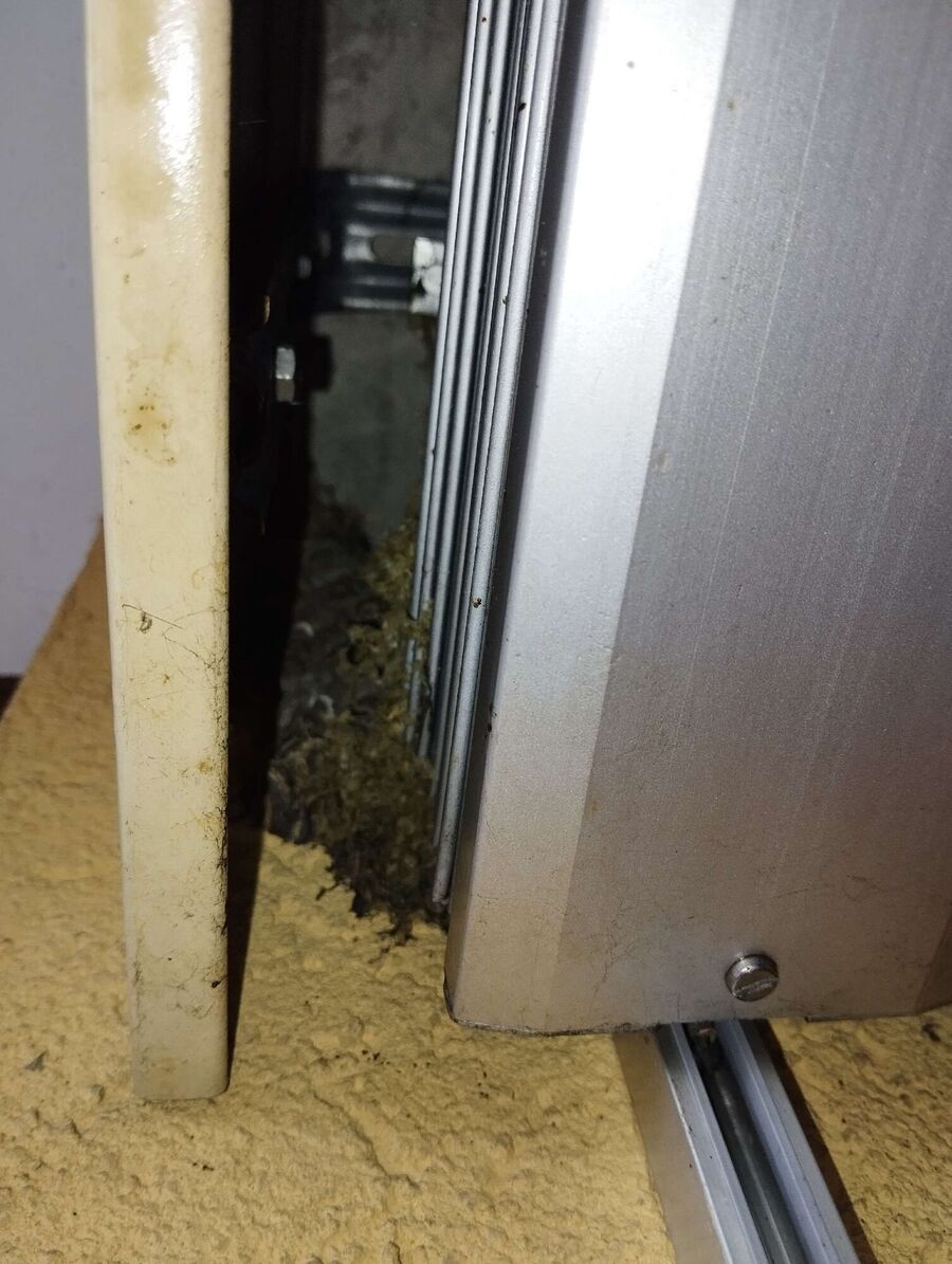  Bienennest entfernen.jpeg