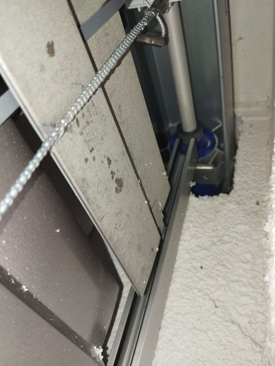  Bienennest entfernen