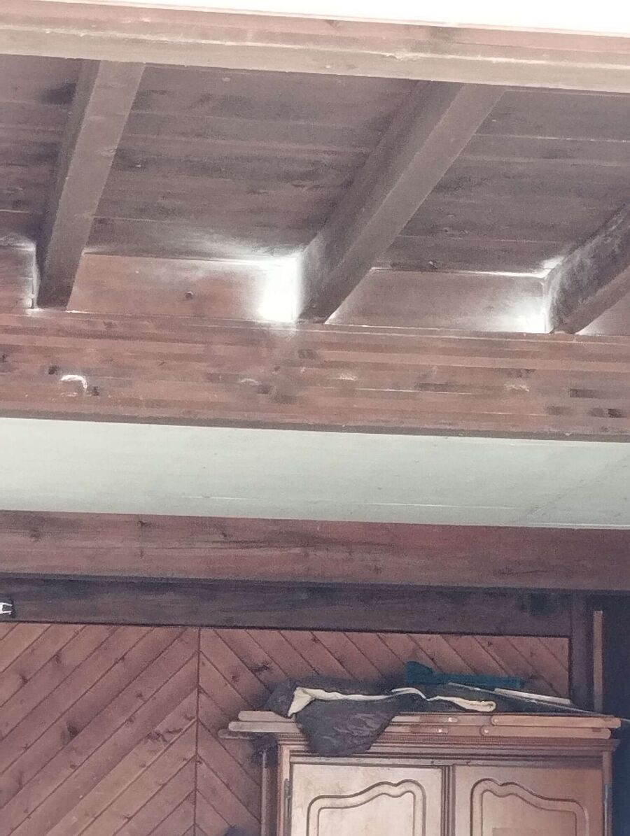 Bienen umsiedeln &  Bienennest entfernen 