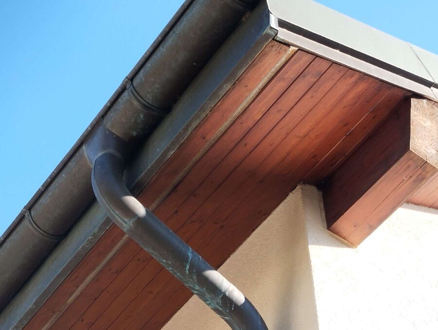  Bienennest entfernen