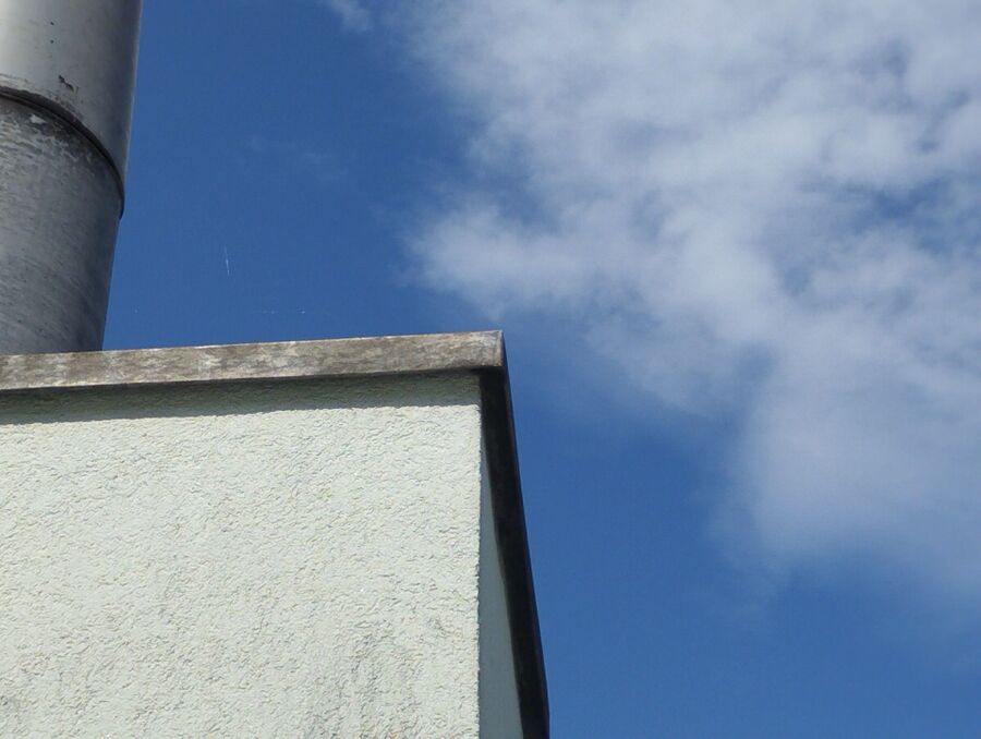 Bienen umsiedeln &  Bienennest entfernen 