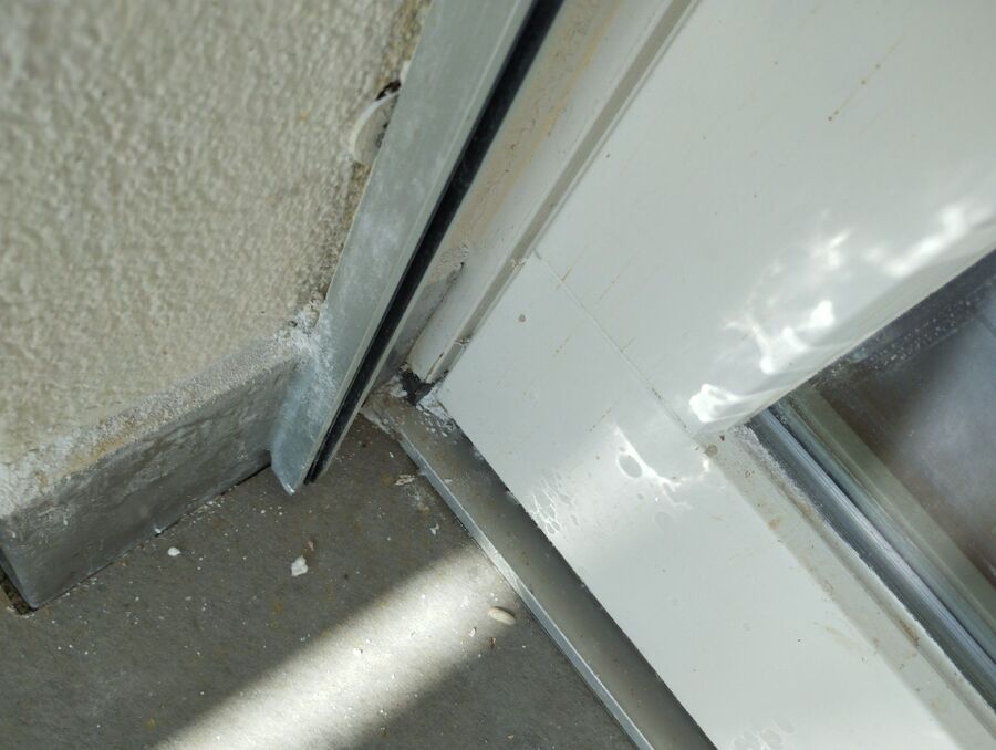  Bienennest entfernen.jpeg