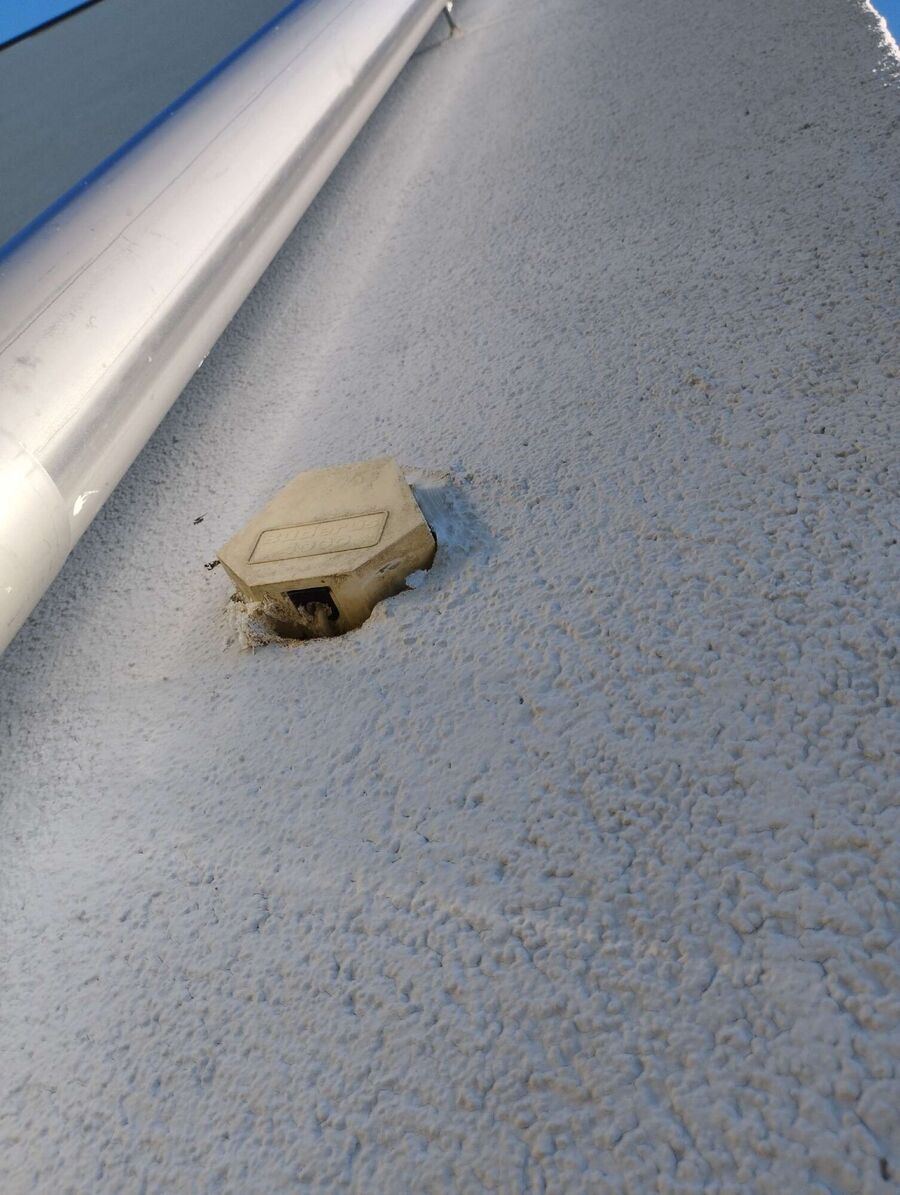 Bienen umsiedeln &  Bienennest entfernen 