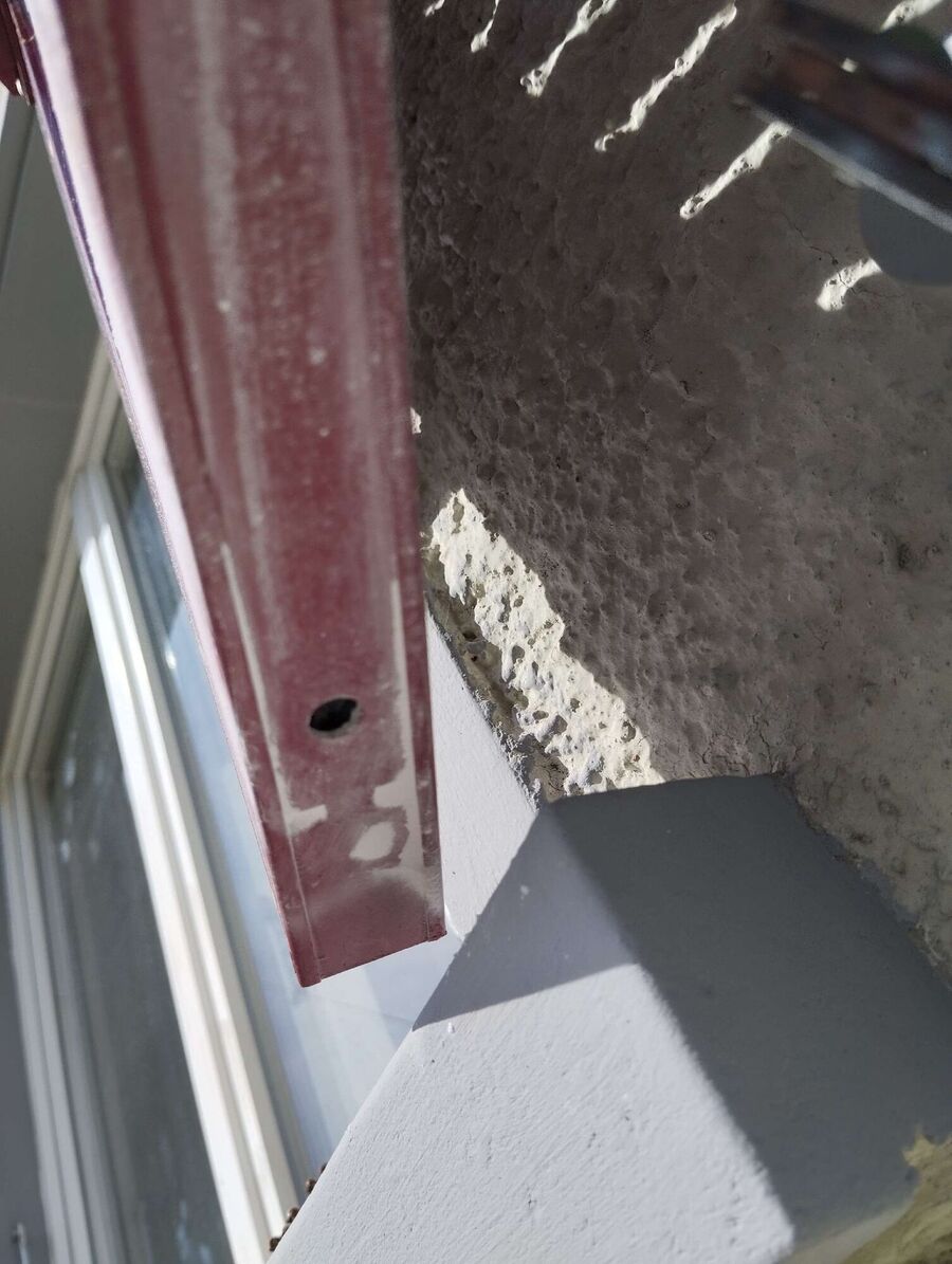  Bienennest entfernen.jpeg