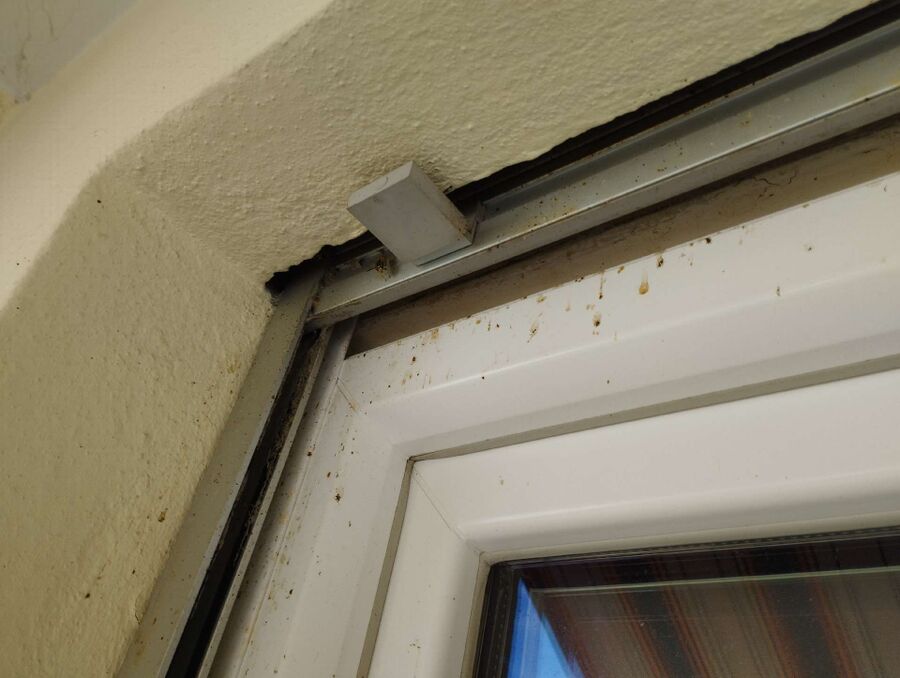  Bienennest entfernen