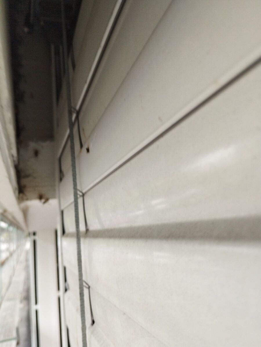  Bienennest entfernen.jpeg