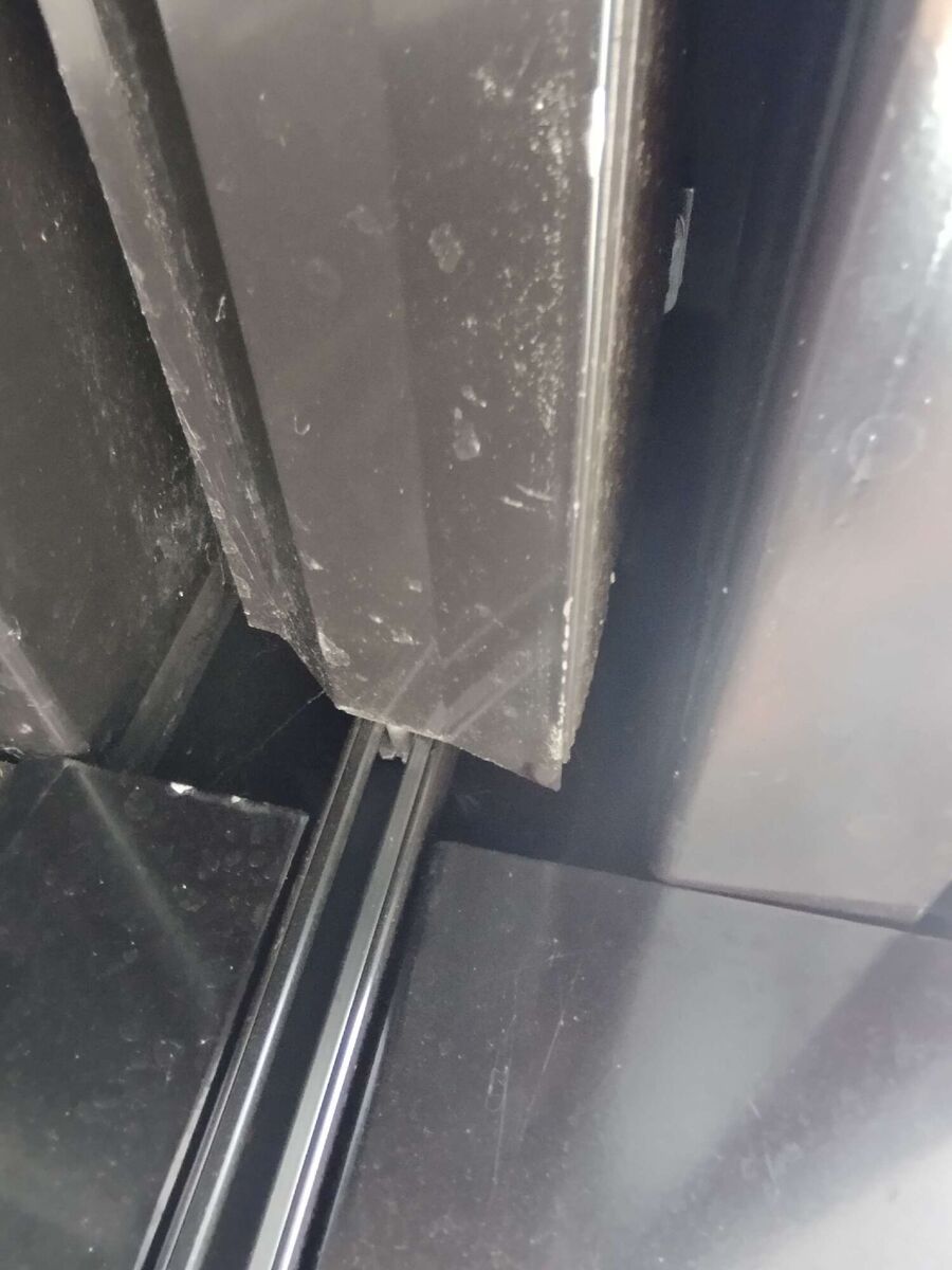 Bienen umsiedeln &  Bienennest entfernen 