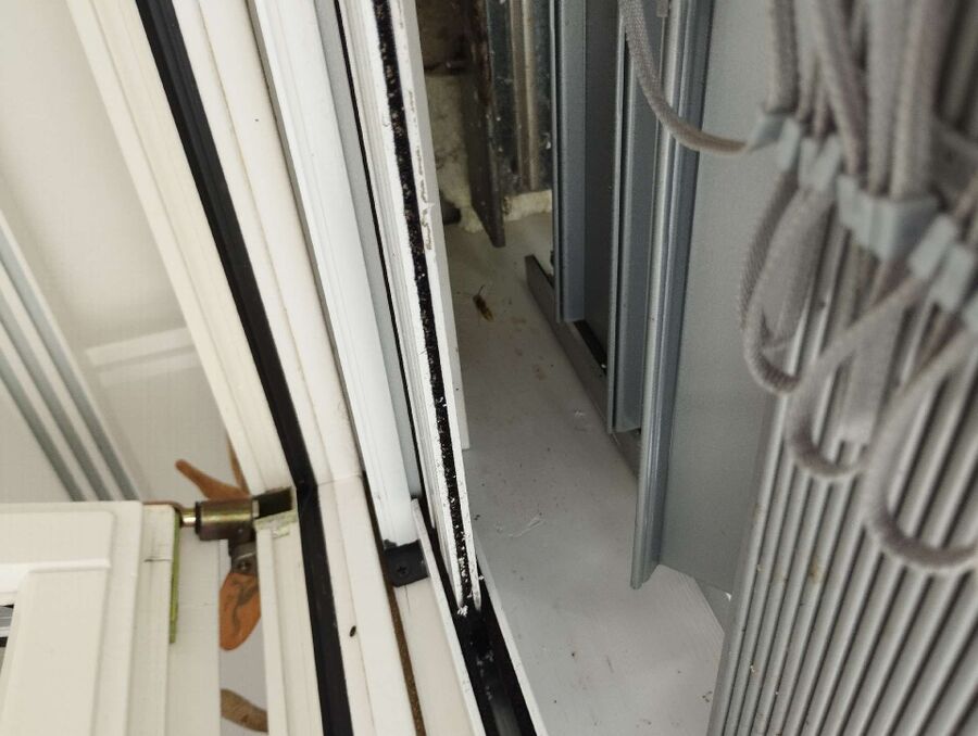  Bienennest entfernen.jpeg