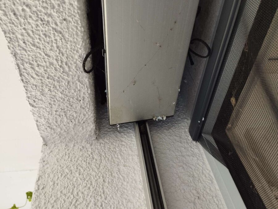 Bienen umsiedeln &  Bienennest entfernen 