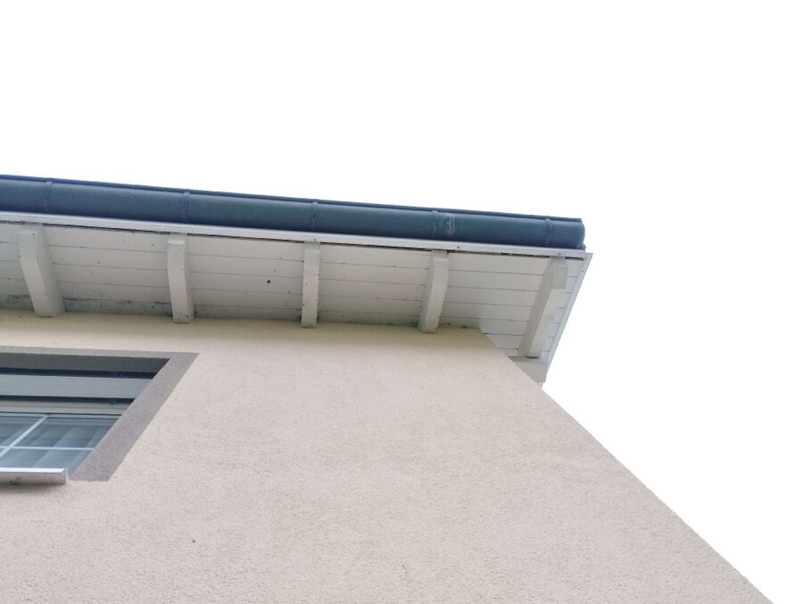  Bienennest entfernen