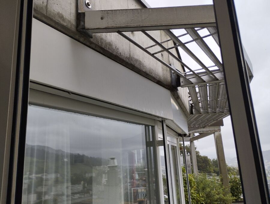 Bienen umsiedeln &  Bienennest entfernen 