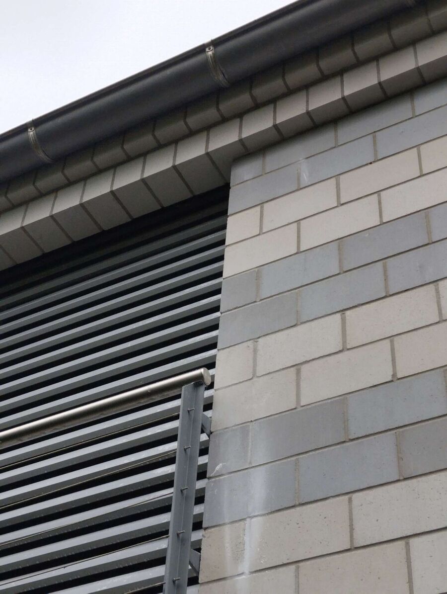 Bienen umsiedeln &  Bienennest entfernen 