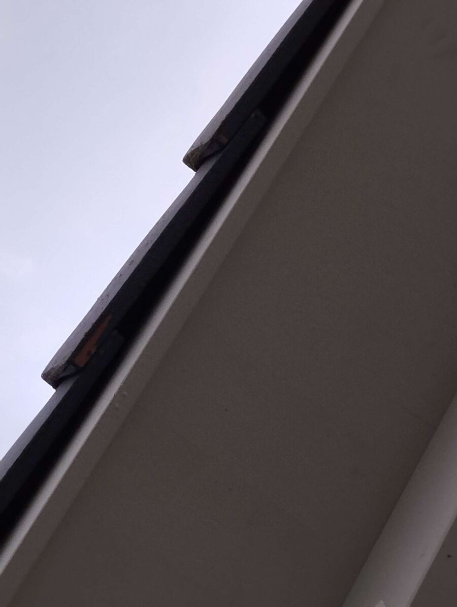  Bienennest entfernen