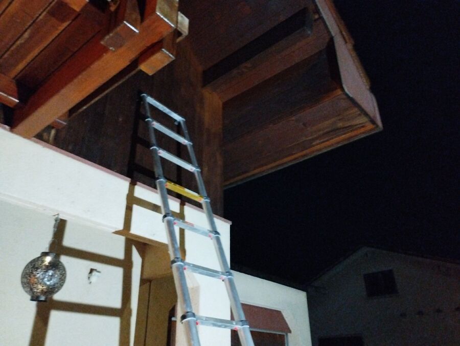  Bienennest entfernen