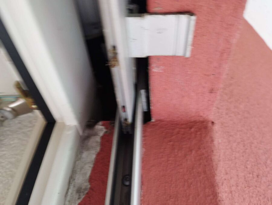 Bienen umsiedeln &  Bienennest entfernen 