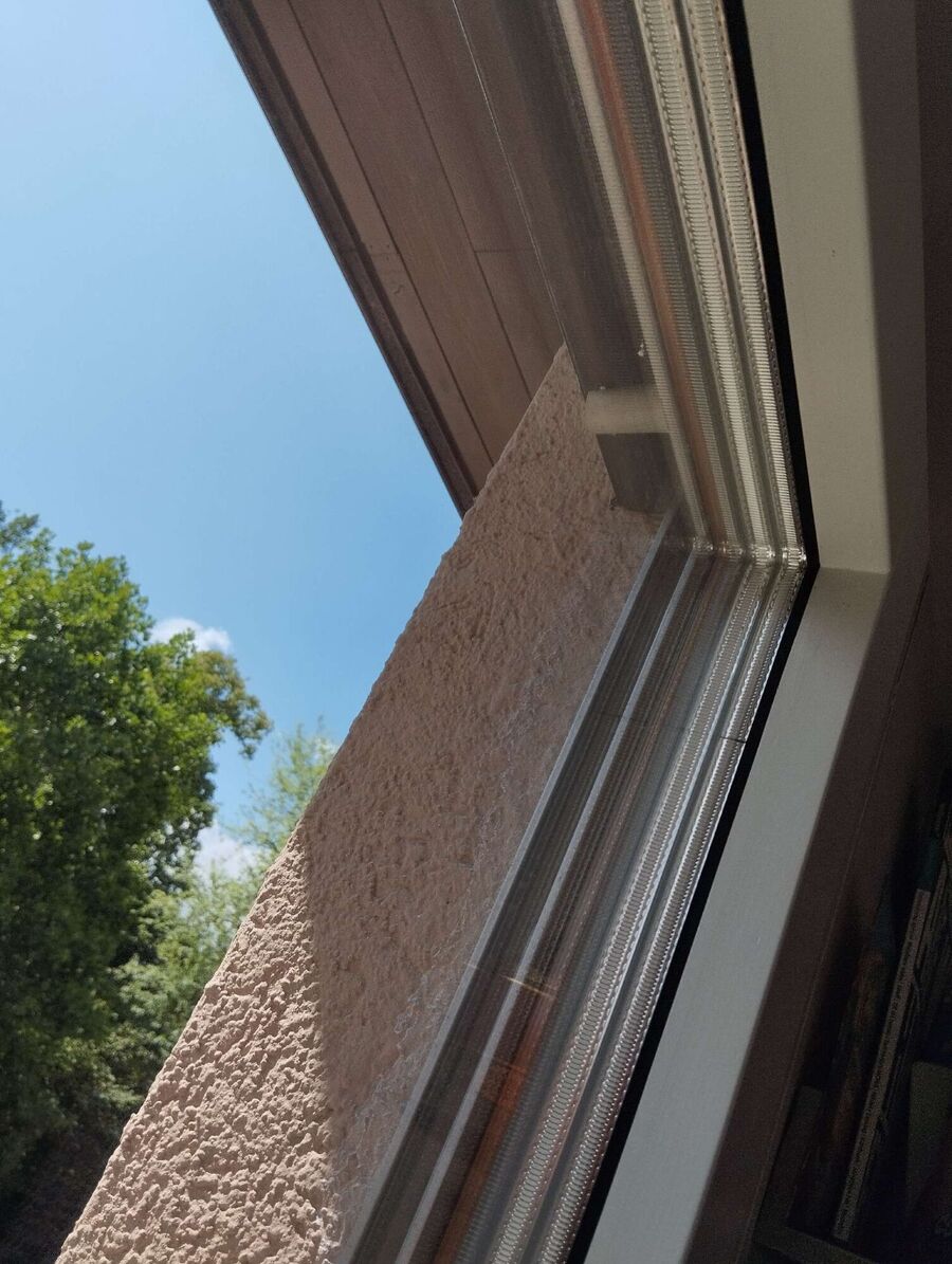  Bienennest entfernen.jpeg