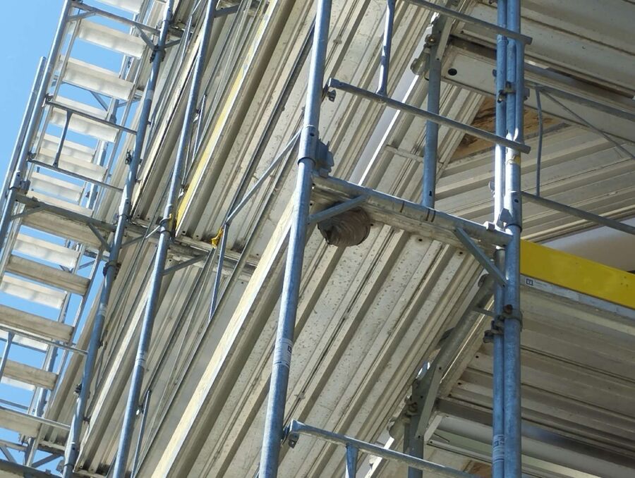  Bienennest entfernen.jpeg