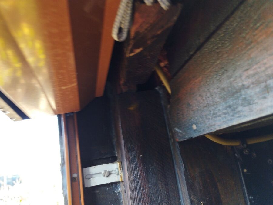  Bienennest entfernen