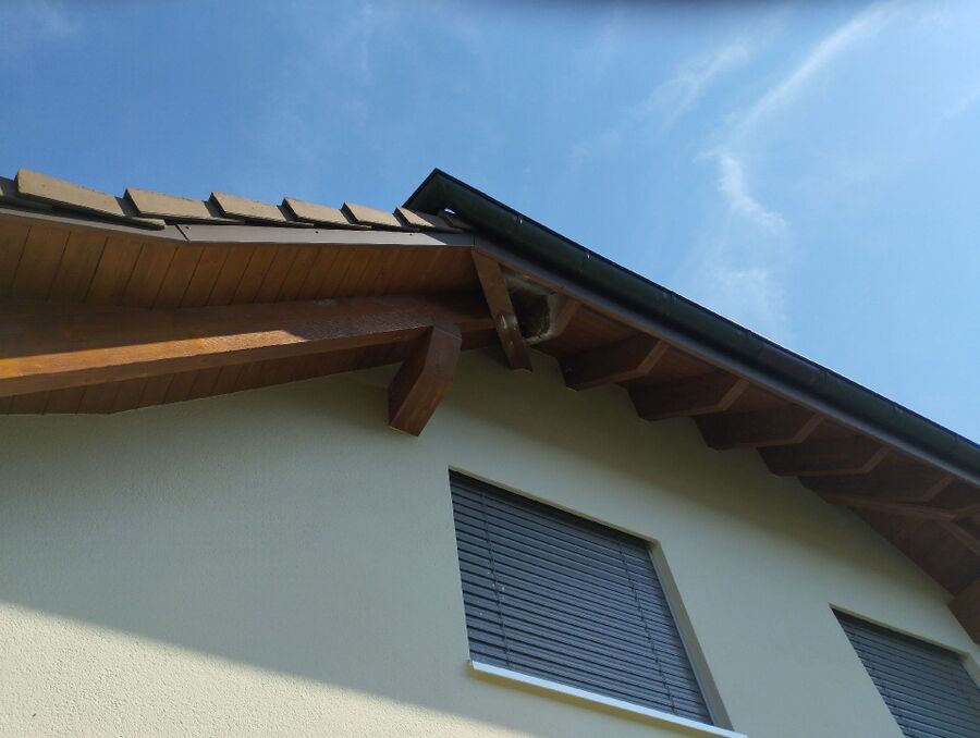  Bienennest entfernen