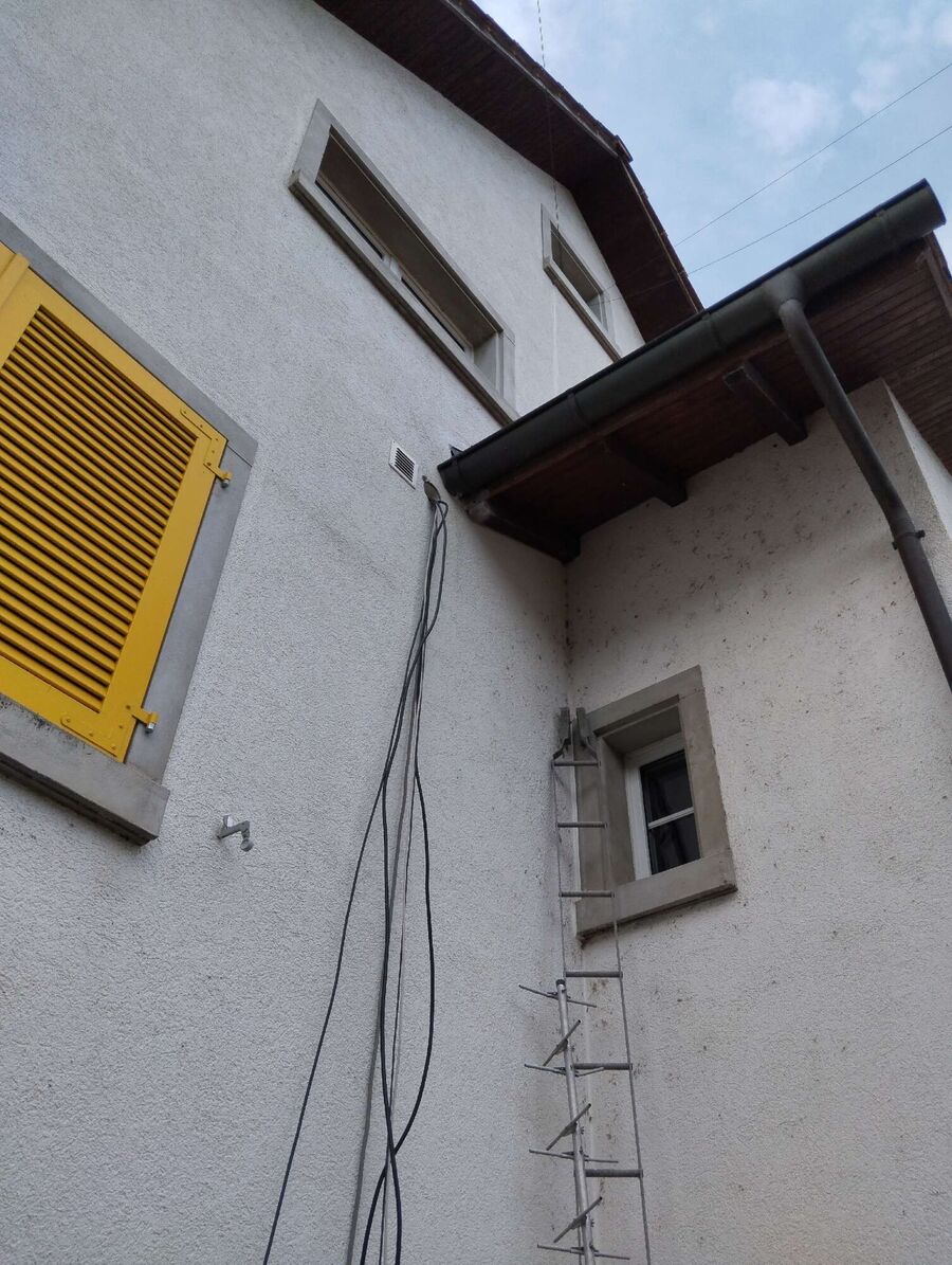  Bienennest entfernen