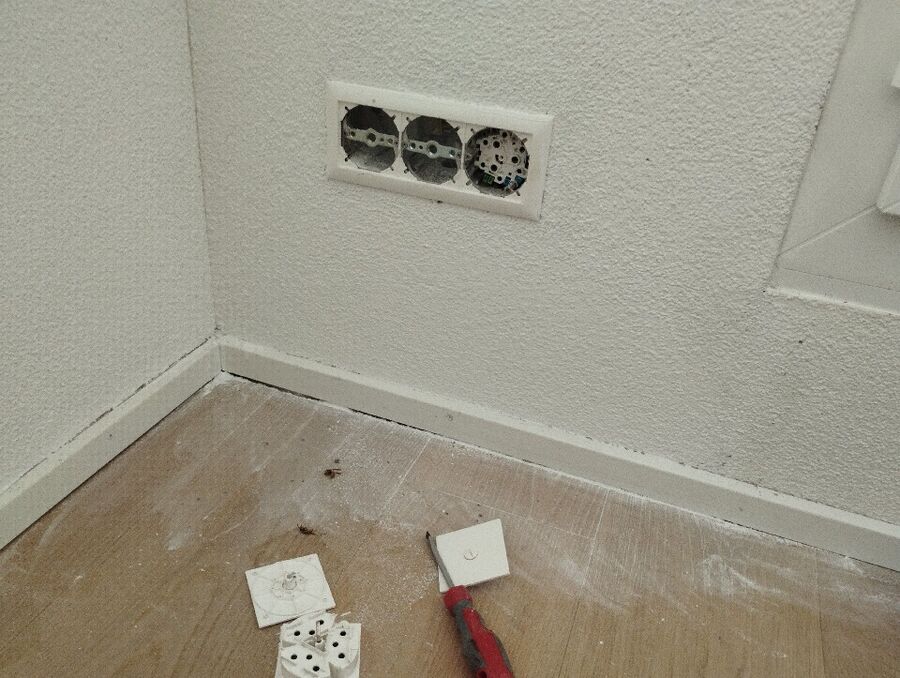  Bienennest entfernen