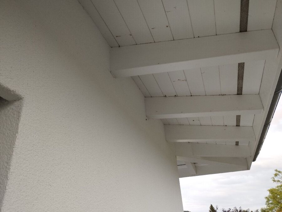  Bienennest entfernen