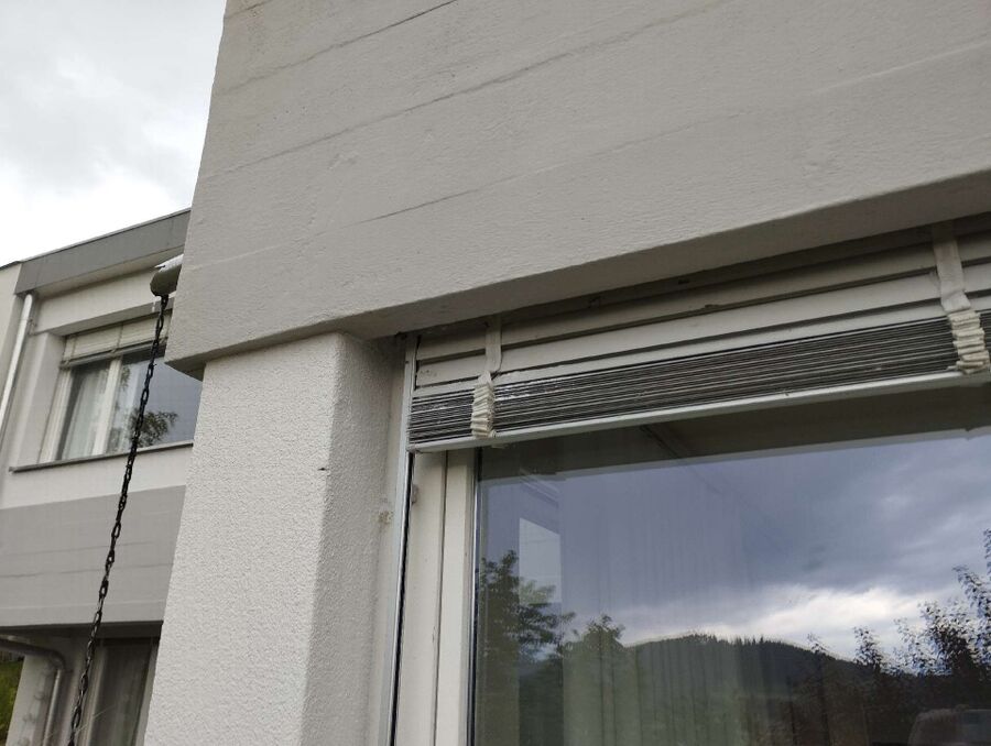  Bienennest entfernen.jpeg