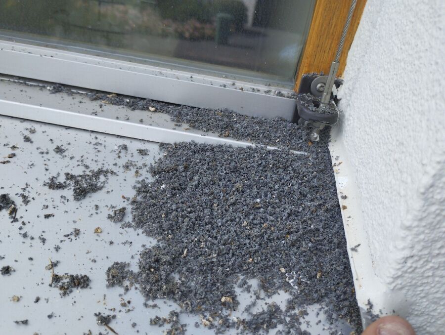  Bienennest entfernen