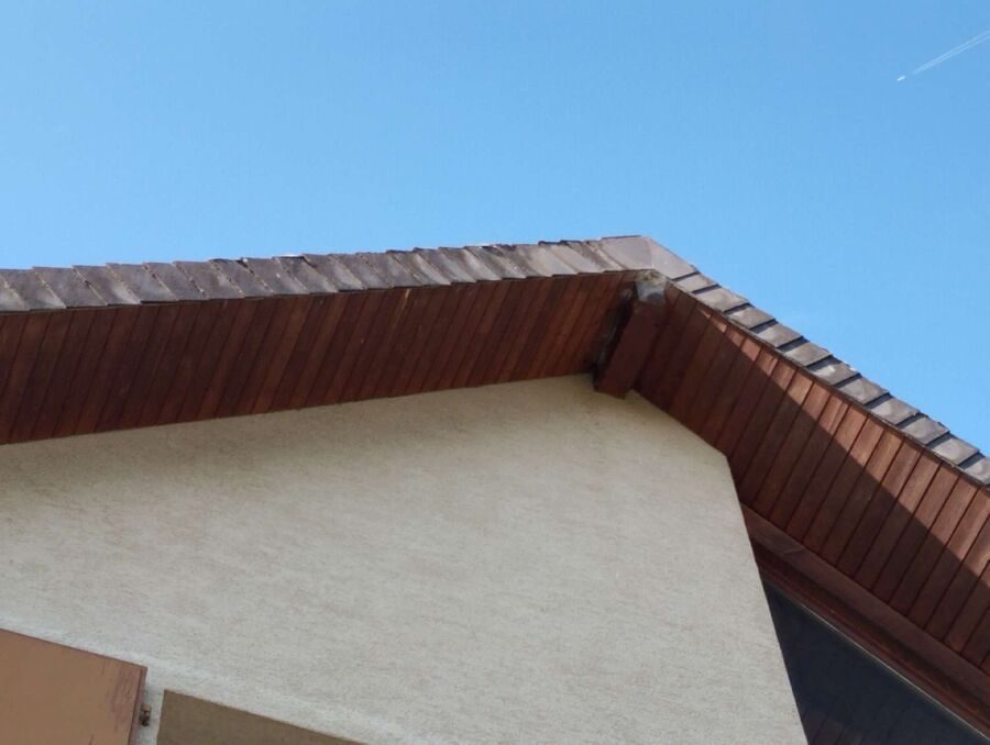  Bienennest entfernen