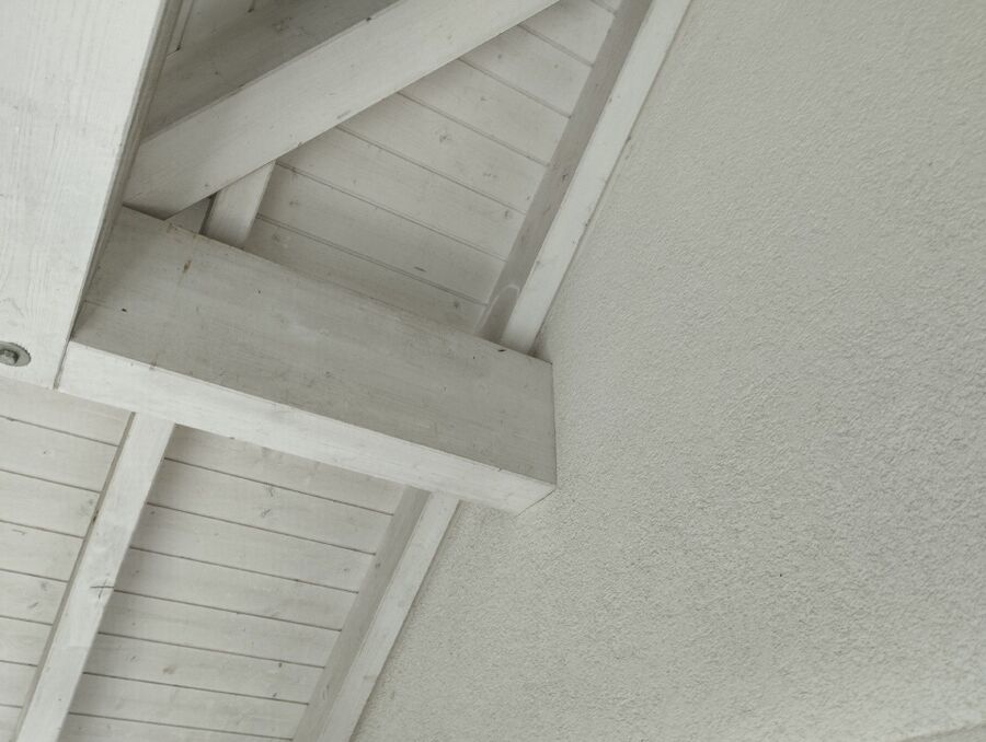  Bienennest entfernen